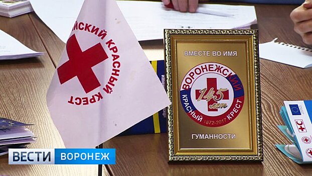 Уникальный проект «Красного креста» реализовали в Воронеже