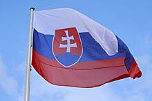 В Словакии напали на не поддержавшего антироссийскую резолюцию депутата