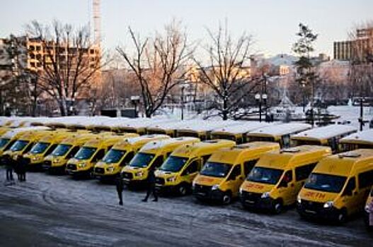 Школы Оренбуржья получили 52 автобуса для перевозки детей