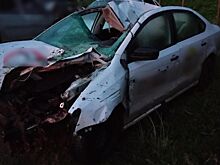 Лось убил мужчину на трассе под Костромой