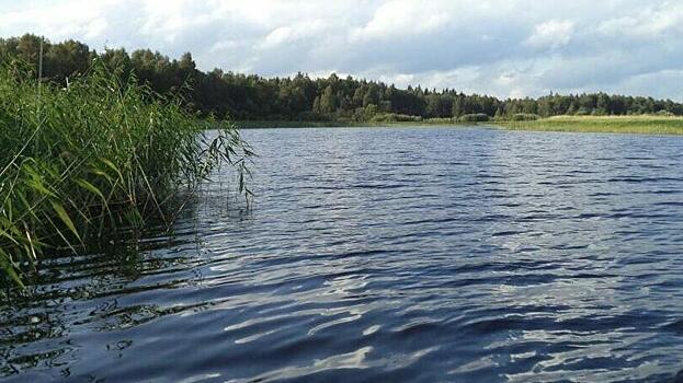 Трое выплыли, один утонул. Лодка с рыбаками перевернулась на Вологодчине