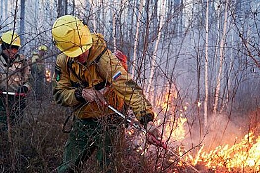 Сводный план тушения лесных пожаров утвержден в Хабаровском крае