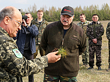 Лукашенко станет президентом в новой реальности