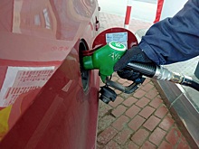 Цены на популярные марки бензина упали в Новосибирской области