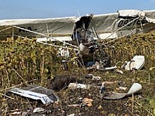 В Ульяновской области разбился легкомоторный самолет