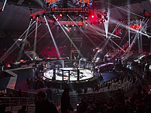 Иван Емельяненко проведет несколько поединков в 2026 году