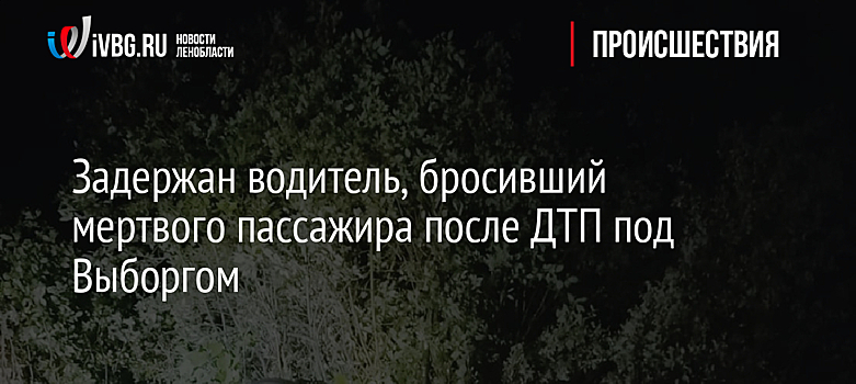 Задержан водитель, бросивший мертвого пассажира после ДТП под Выборгом