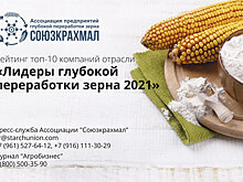 Рейтинг компаний отрасли «Лидеры глубокой переработки зерна 2020-2021»