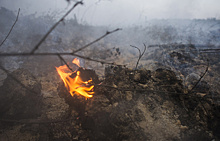 В Иркутской области за сутки ликвидировали 7 очагов пожаров