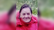 Воронежская пенсионерка исчезла после поездки на автобусе