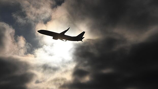 Turkish Airlines организовала досылку багажа в аэропорт Внуково