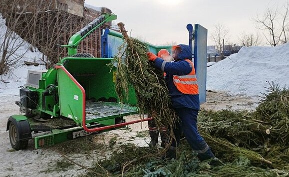 После празднования Нового года в Казани переработали 1 500 елок