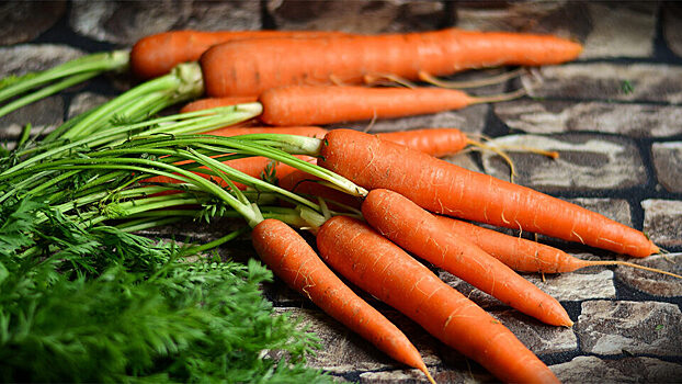 Ученые рассказали о пользе моркови в профилактике рака