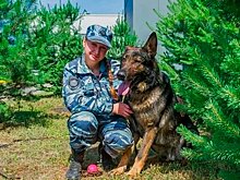 Служебный пес из России впервые получил итальянскую премию за верность
