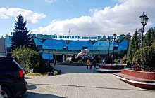 Новосибирский зоопарк заработал 9 млн рублей на незаконной платной парковке