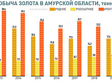 Василий Орлов: Недобросовестных добытчиков золота надо лишать лицензий