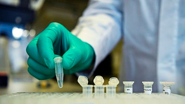 Во Франции от коронавируса с 1 марта умерли 2606 человек