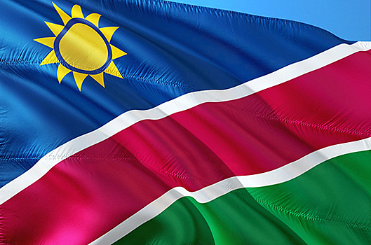 Госдума ратифицировала договор между РФ и Намибией о помощи по уголовным делам