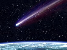 Mirror: неизвестный волосатый объект упал с неба на ферму в Аргентине