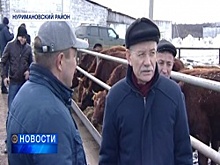 Рустэм Хамитов потребовал от аграриев планы на ближайшую пятилетку