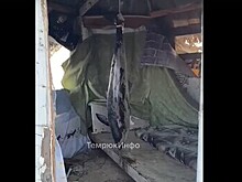 Туристы нашли под Темрюком подвешенного гниющего дельфина