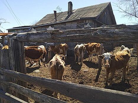 Житель Первомайского забросал дорогу навозом