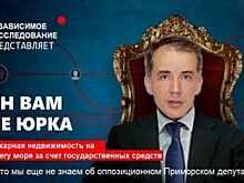 Главный приморский «навальновец» купил квартиру на Патрокле за счет детей