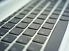 В России предложили создать отечественный аналог Roblox