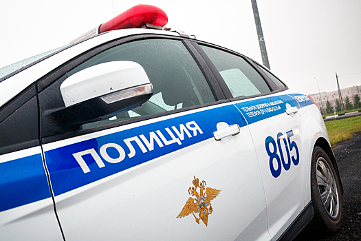 МВД РФ разрешит сотрудникам ГИБДД выявлять неисправности автомобилей с помощью органов чувств