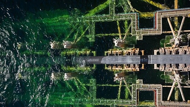 В ФРГ выступили против остановки реализации «Северного потока — 2»