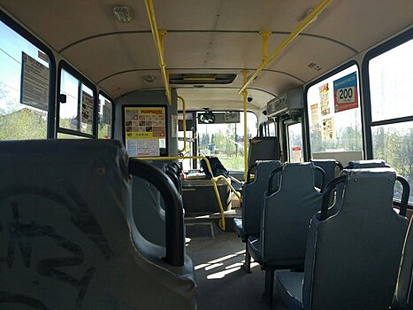 Петрозаводчанка создала петицию с требованием наладить работу общественного транспорта