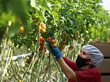 На Ставрополье заключили первое соглашение о защите инвестиций