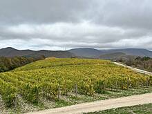 Маленькая Швейцария в Кавказских горах: что посмотреть в Абрау-Дюрсо