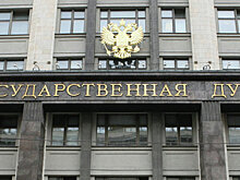 В ГД предложили ввести квалификационные категории тренеров
