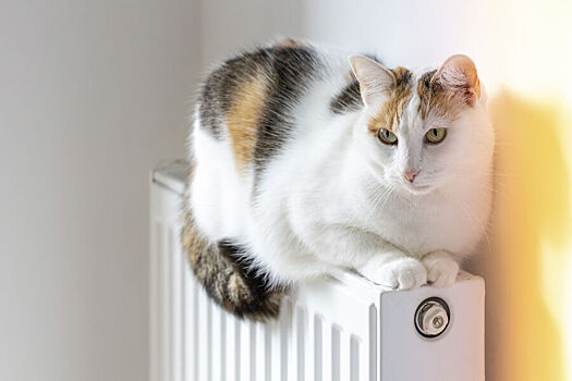 В Ульяновске после аварии более 20 домов остались без отопления