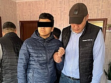 Мошенничество в Кыргызстане станет тяжким преступлением