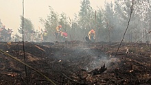 Вода, лопаты и бензопилы: как МЧС и «Авиалесоохрана» противостоят рязанским лесным пожарам