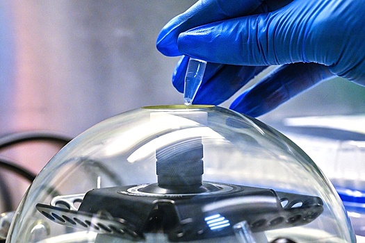 Правительство пропишет, какую информацию должен собирать санитарный щит страны