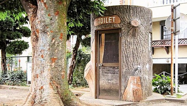 Японец фотографирует туалеты ради науки