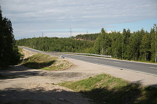 Смертельный отдых: всплеск аварий произошел в Подмосковье в выходные