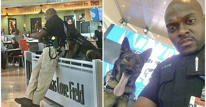 Дружба дня: полицейский в аэропорту делал селфи со служебной овчаркой и показывал ей каждое фото. Люди в восторге от кадров