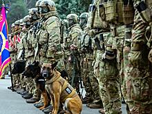 Война спецслужб: ФСБ России против СБУ