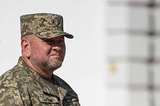 Стало известно о публичной критике Залужного Умеровым