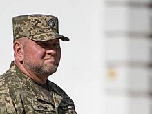 Стало известно о публичной критике Залужного Умеровым