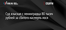 Суд взыскал с ленинградца 80 тысяч рублей за сбитого насмерть лося