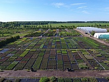 Дороги, которые ведут к успеху