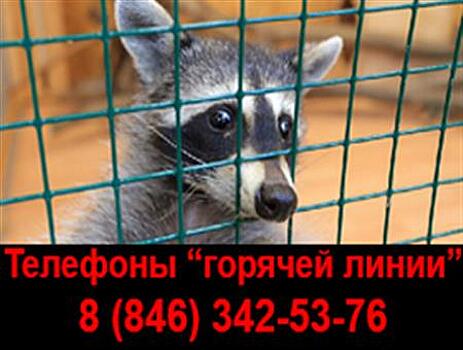 В Самарской области работает "горячая линия" для обращений в случае выявлений контактных зоопарков
