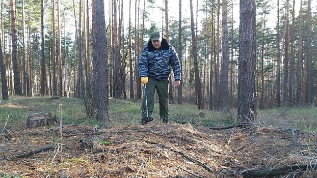 Поисковики обнаружили под Тамбовом части бомбардировщика времён Великой Отечественной войны
