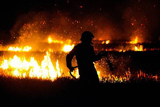 Ученые: лесные пожары усилились и стали более частыми