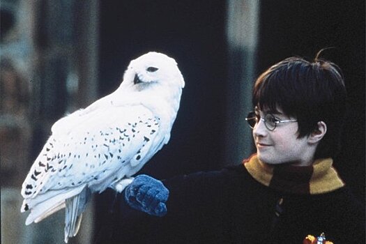 В IMAX впервые покажут восемь фильмов о Гарри Поттере